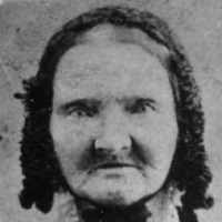 Amy Dora Harding (1811 - 1876) Profile